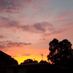 Meet your Posher, Savi